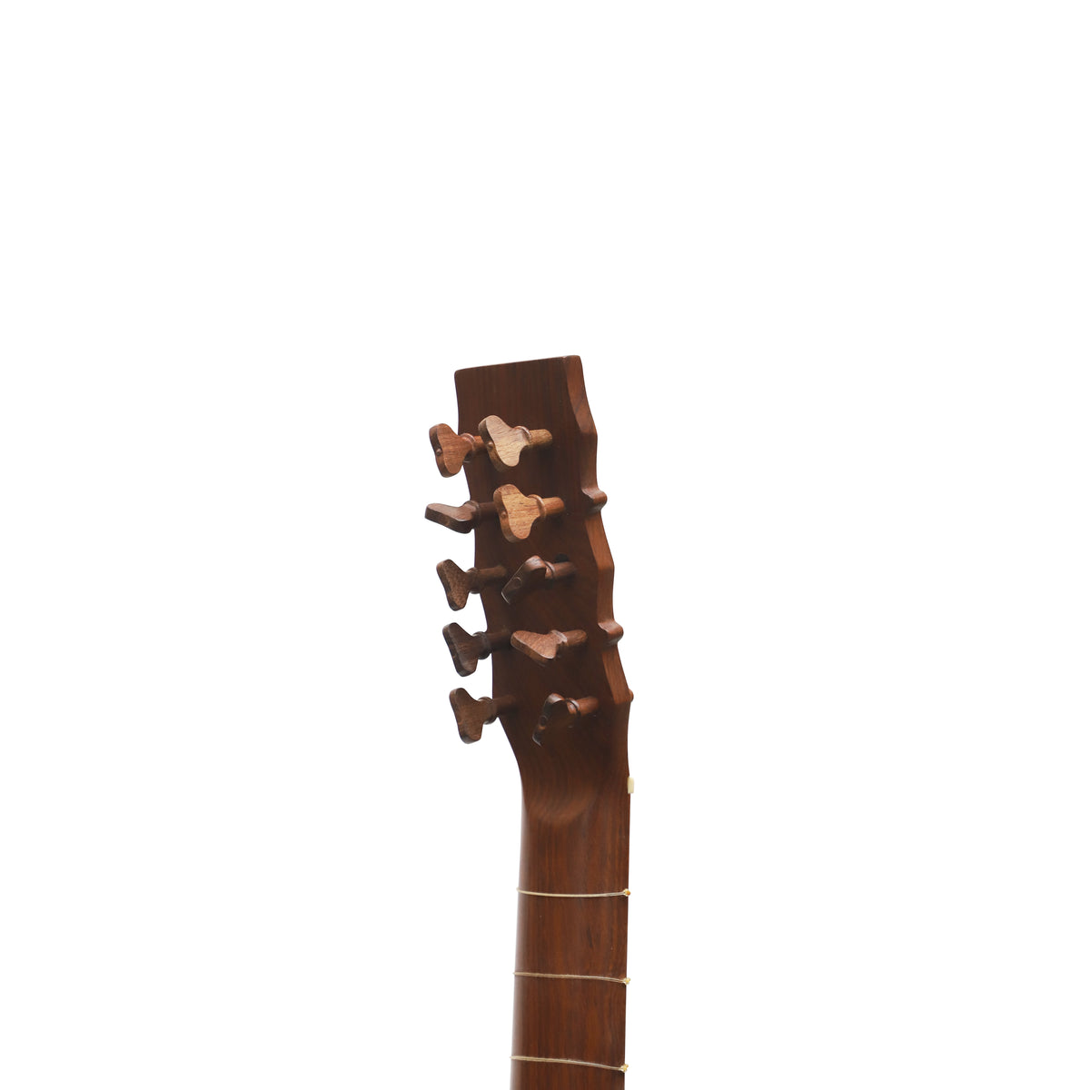 Mid-East 5-Course Voboam Guitar (Rosewood)