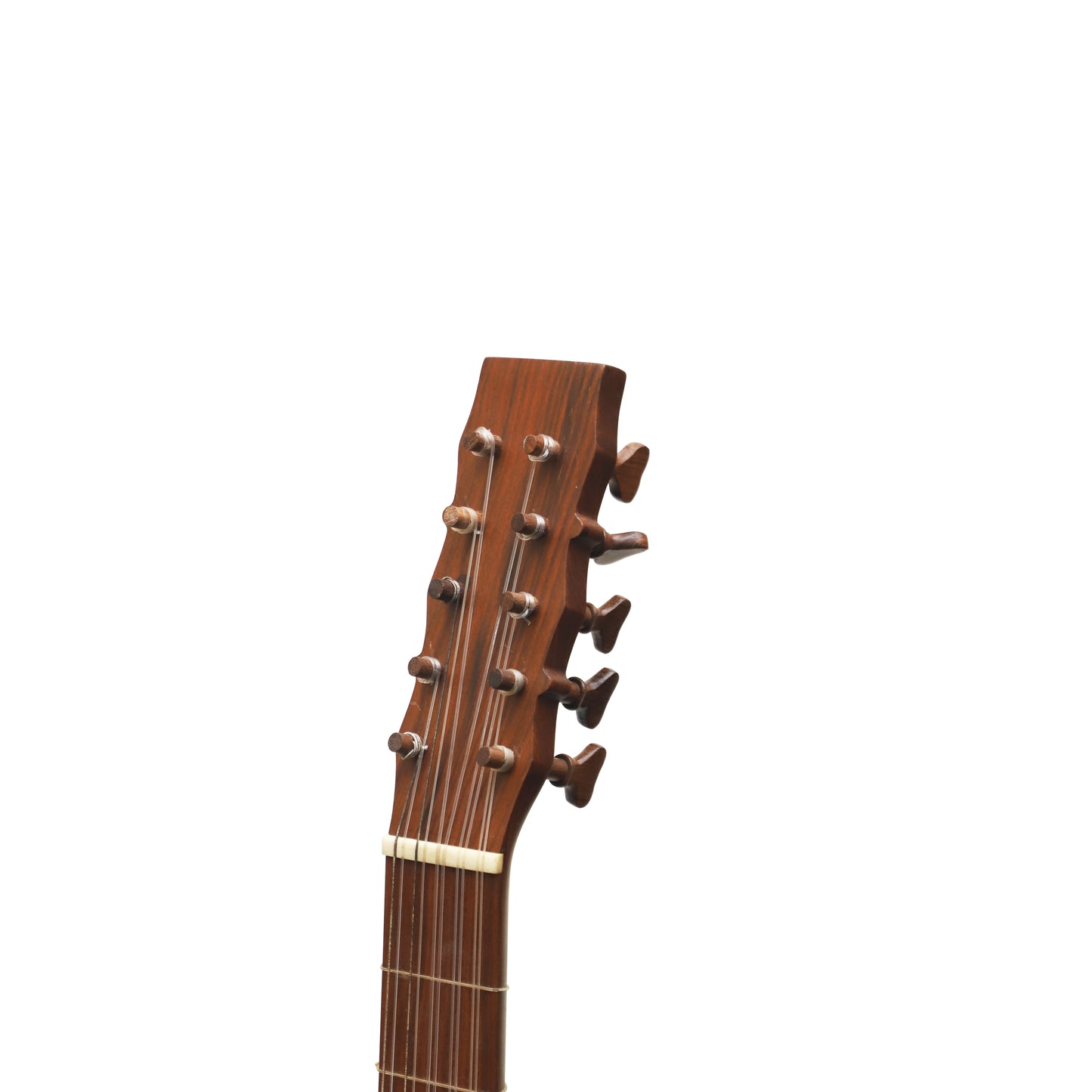 Mid-East 5-Course Voboam Guitar (Rosewood)